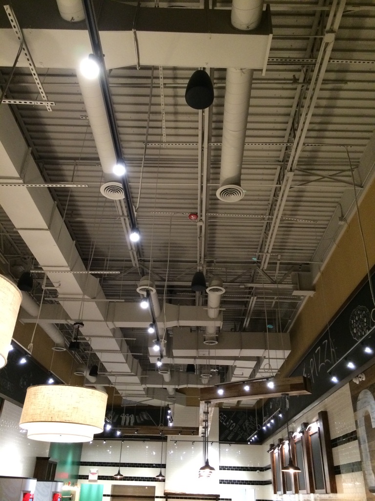 728D938D EE6D 4642 A5B8 BB8B9E508762 1 105 c